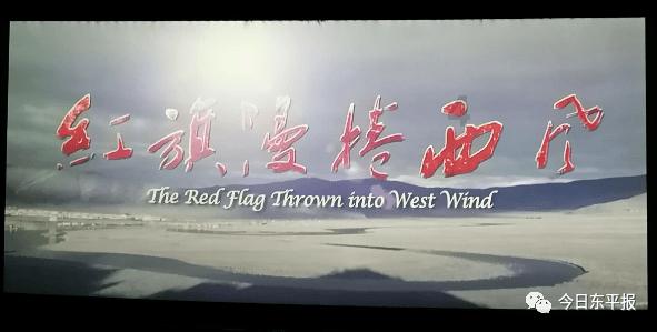小猫钓鱼游戏龙王版有船